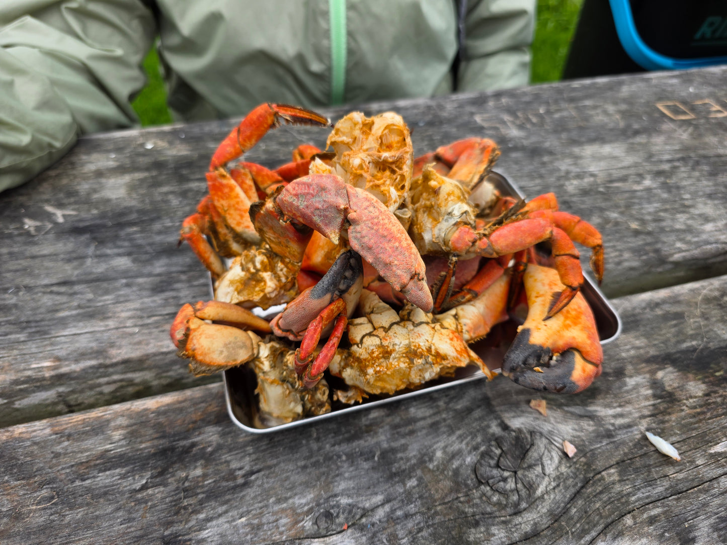Catch & Cook Crabbing Experience Under the Golden Gate Bridge – San Francisco Bay Tour