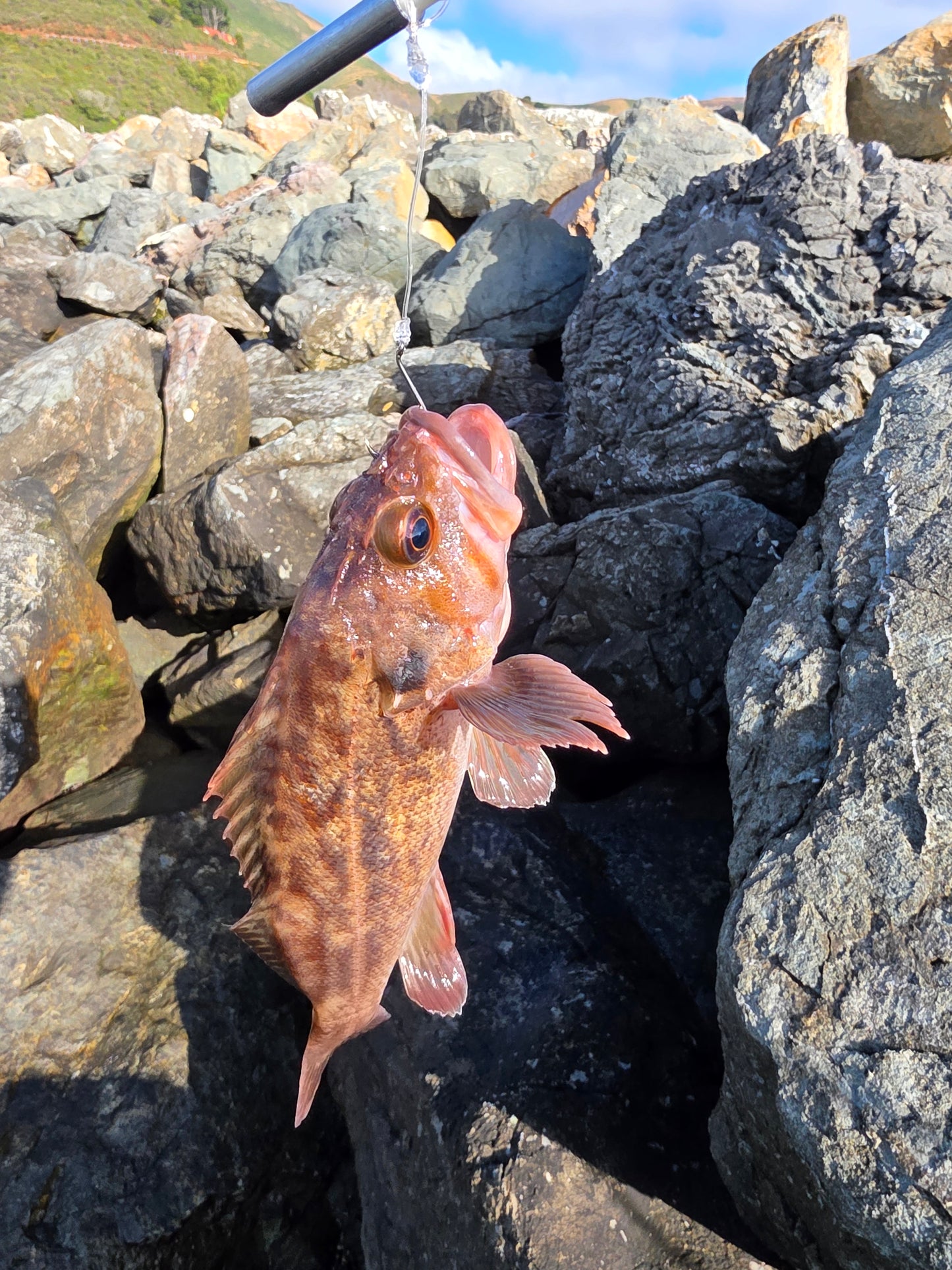 Bay Area Guided Crab Snaring and Poke Pulling Combo Fishing Trip - DURASNARE