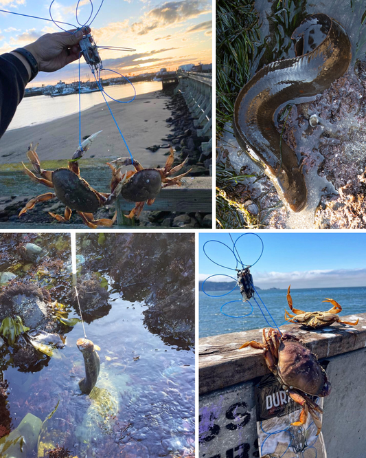 Guided Crab Snaring and Poke Pole Fishing Trip - 6 hour Combo Session