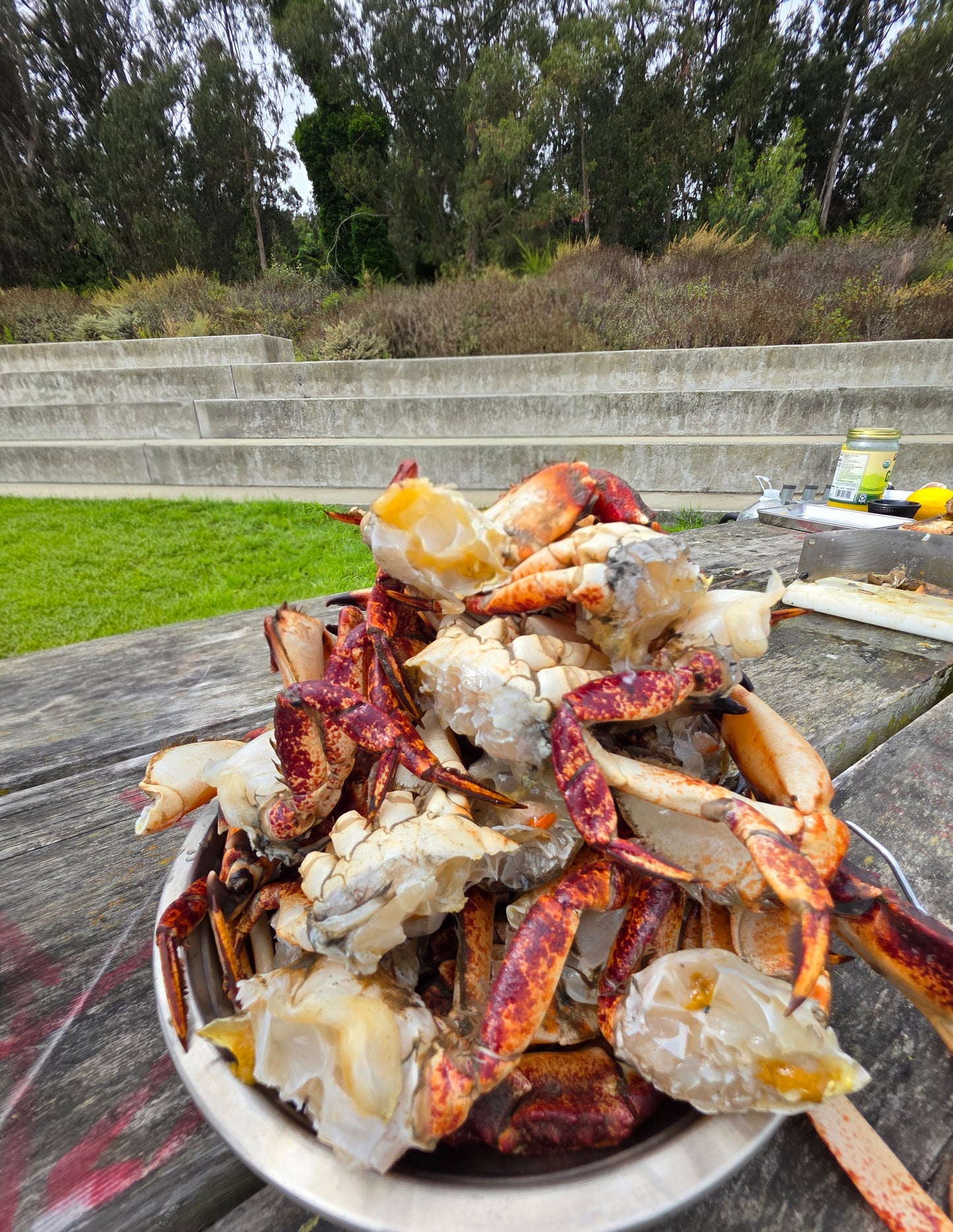 Bay Area Guided Crab Snaring Trip Catch and Cook Experience - DURASNARE