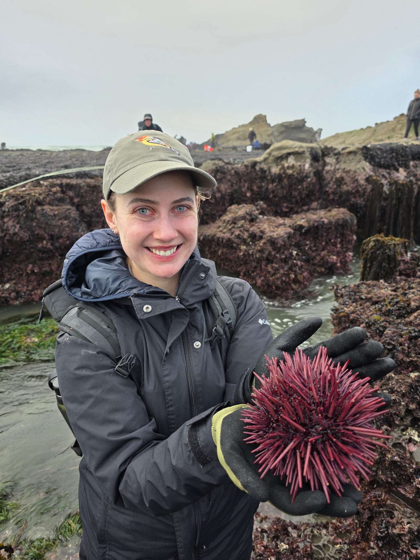 Bay Area Guided Poke Pole Fishing and Coastal Foraging Fishing Trip - DURASNARE