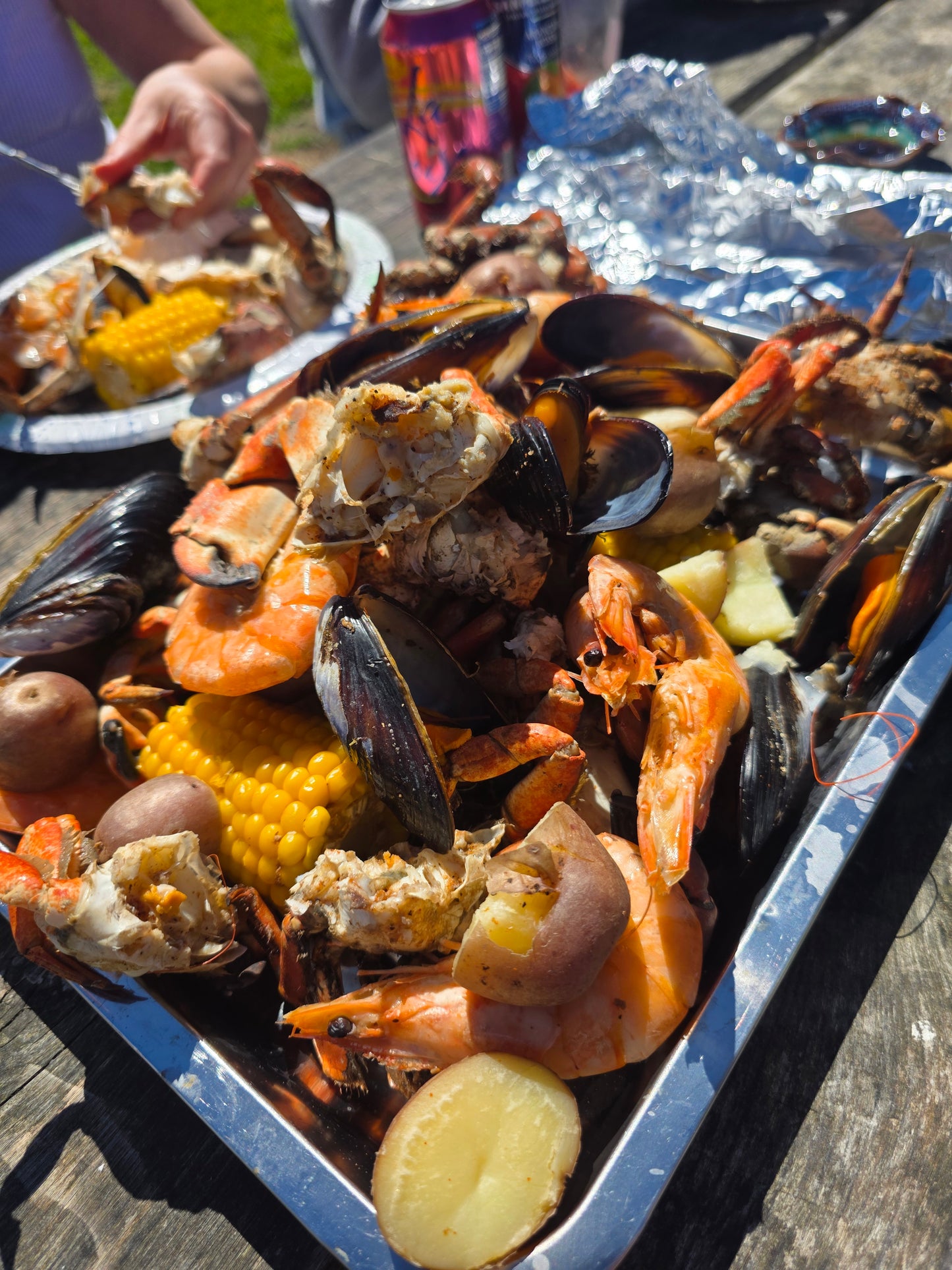Catch & Cook Crabbing Experience Under the Golden Gate Bridge – San Francisco Bay Tour