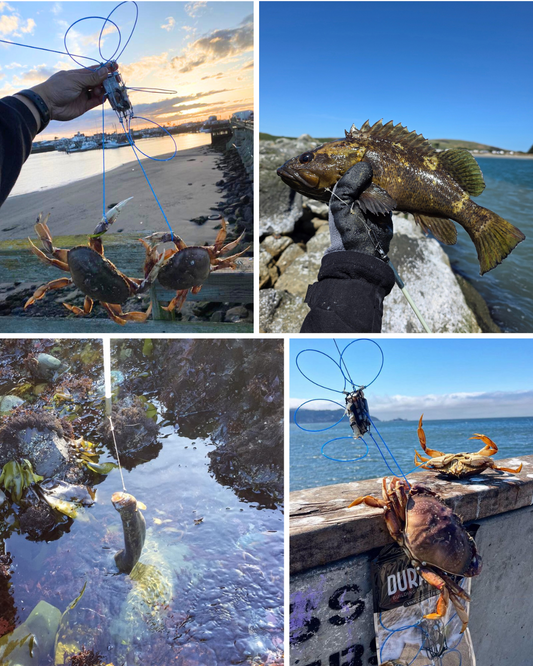 Guided Crab Snaring and Poke Pole Fishing Trip - 6 hour Combo Session