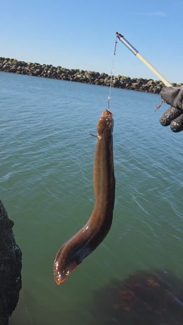 Bay Area Guided Poke Pole Fishing and Coastal Foraging Fishing Trip