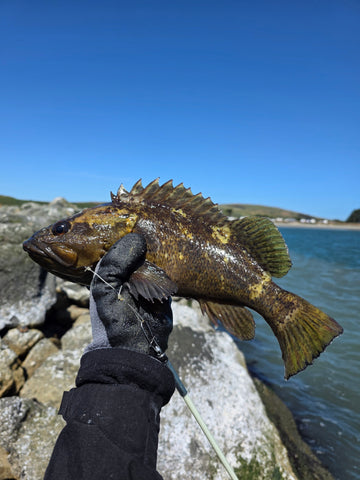 broken fishing pole gif Fish Fail GIFs